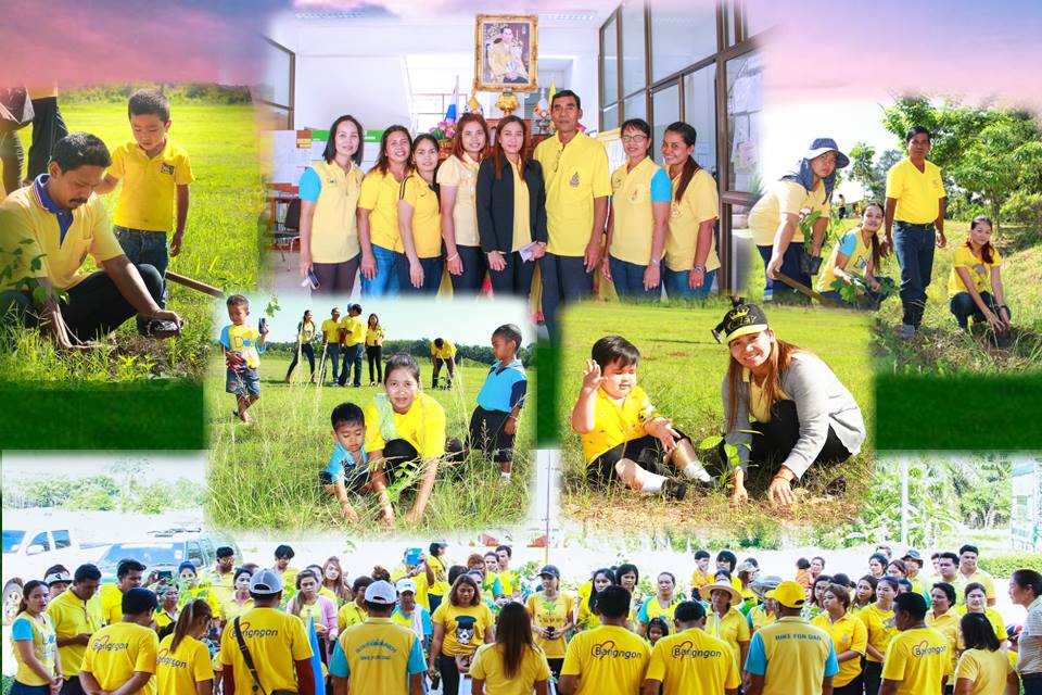 กิจกรรมปลูกป่าเฉลิมพระเกียรติพระบาทสมเด็จพระเจ้าอยู่หัว